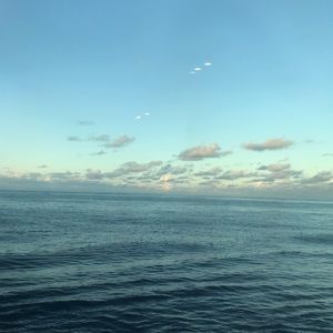 Meet your Posher, Ava